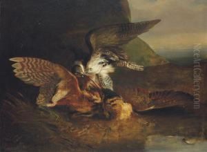 Hawk Killing A Bittern by Sawrey Gilpin
