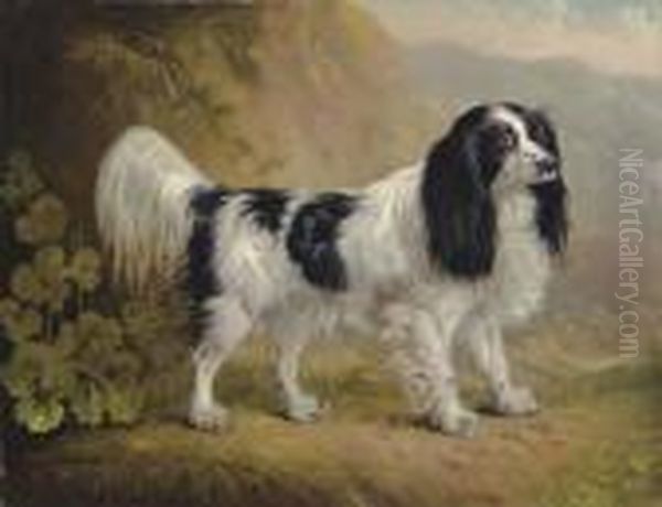 A Spaniel In A Landscape - view 1