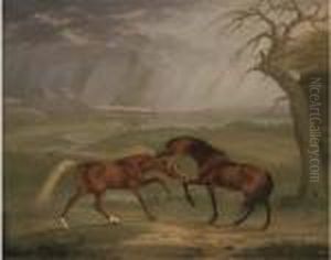 Horses Fighting In A Thunderstorm