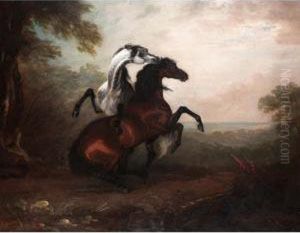 Two Stallions Fighting by Sawrey Gilpin