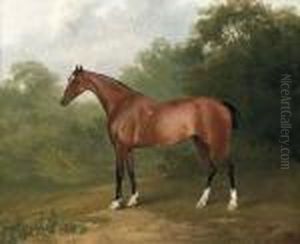 A Bay Horse In A Wooded Landscape by Sawrey Gilpin