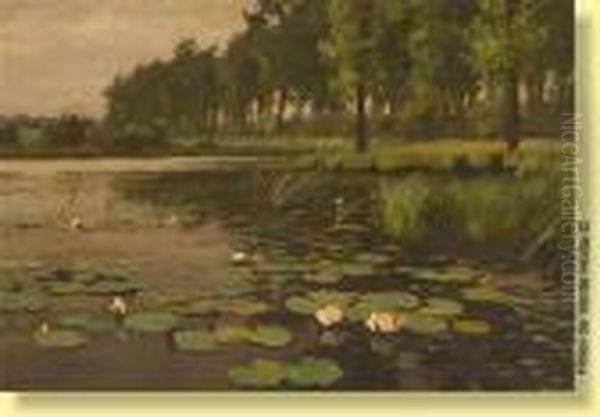 Nenuphars - view 1