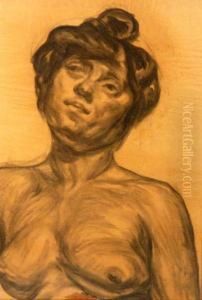 Desnudo Femenino Desnudo Femenino