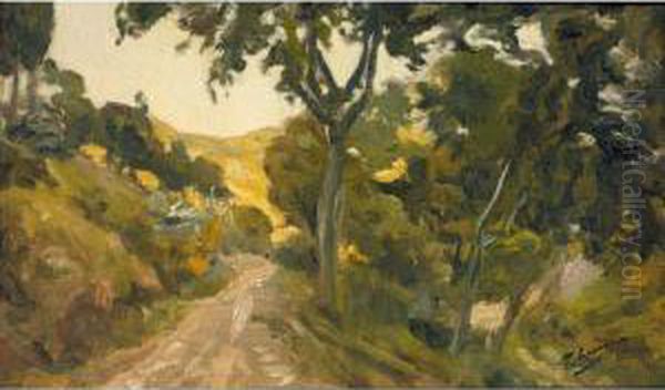 Camino Forestal (the Forest Path) - view 1