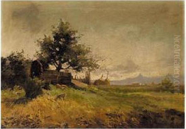 Paisaje Con Ovejas (landscape With Sheep) - view 1