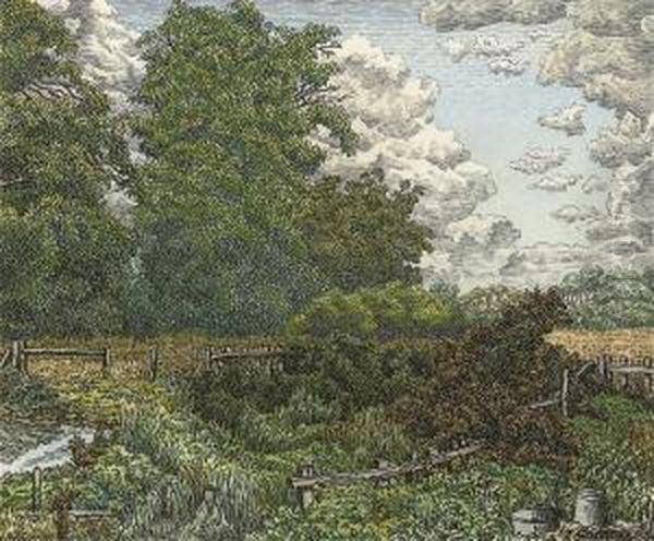 The Rustic Fence - view 1