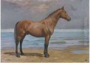 Cavallo Sulla Spiaggia by Edoardo Gioia