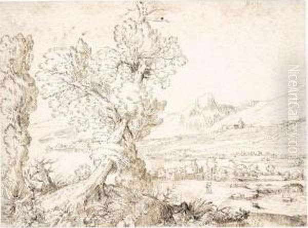 A Landscape With Trees - view 1