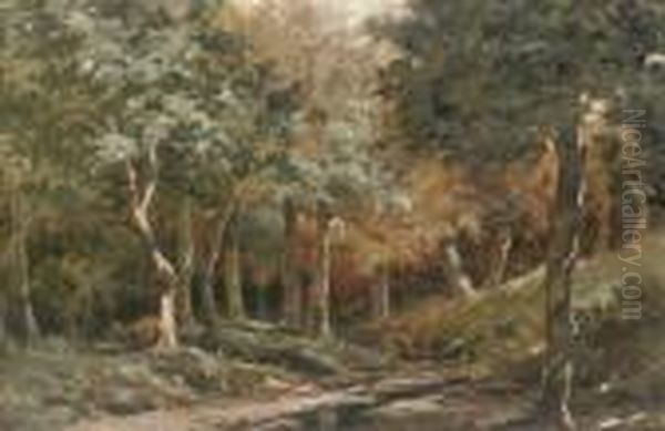A Walk In The Woods - view 1