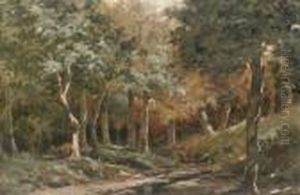 A Walk In The Woods by Vincenzo Giovannini