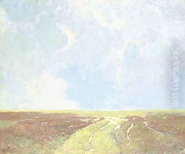 Marsh Landscape - view 1