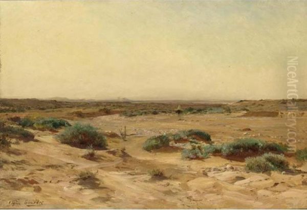 In The Desert - view 1
