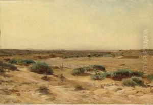 In The Desert