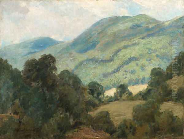 Rolling Hills - view 1