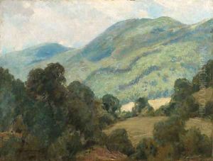 Rolling Hills