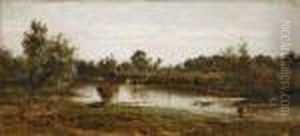 Troupeau Au Bord D'une Riviere
