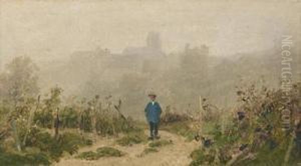 Rebberg Mit Stadt Im Hintergrund. - view 1