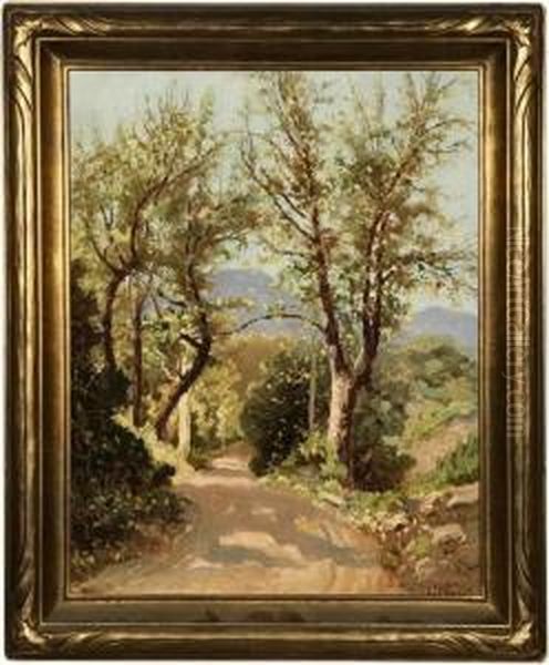 Mountain Road - view 1
