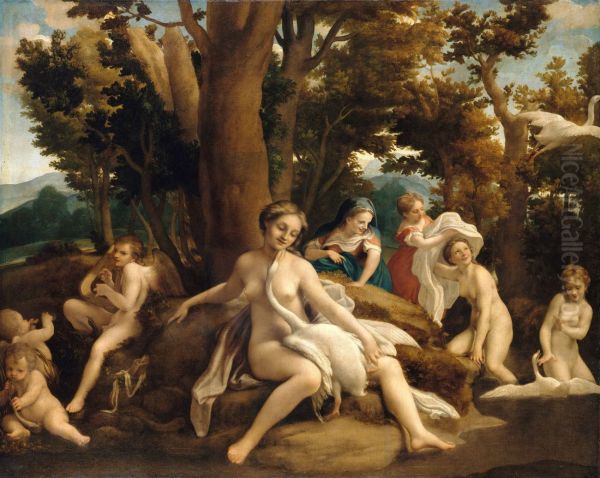 Leda with the Swan 1531 - view 1
