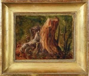 Etude De Souche A Civitella