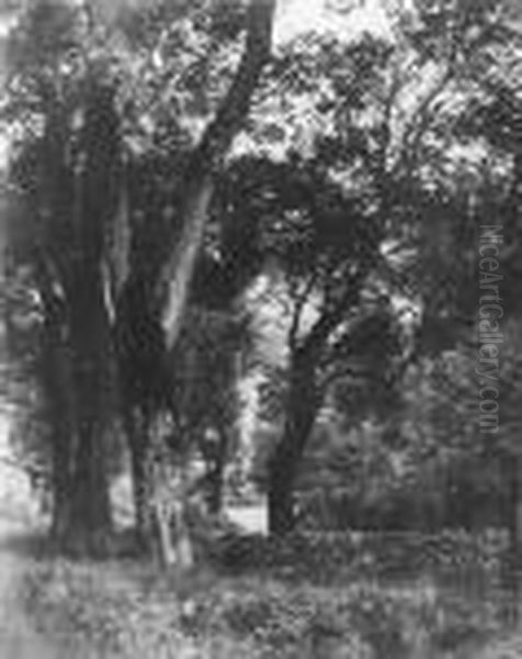 Giroux, Andr
Paysage - view 1