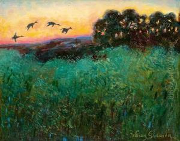 Ducks In Sunset - view 1