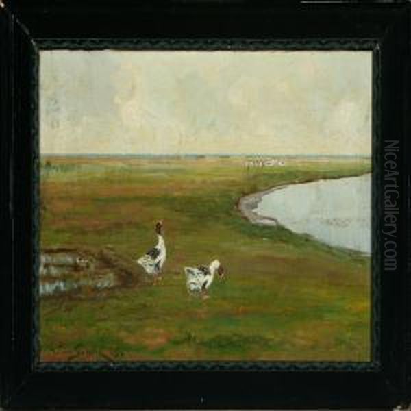 Grazing Geese In The Meadow - view 1