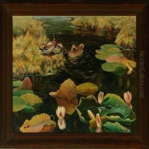 Ducks In A Stream Of Newly Sprouted Waterlilies
