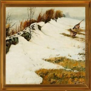 A Winter Landscape From Saltholm Island