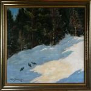 A Winter Landscape Scenery With Birds A Winter Landscape Scenery With Birds