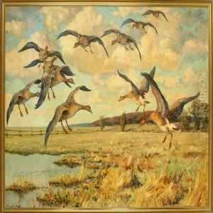 Grey Lag Geese Are Flying Over A Meadow by William Gislander