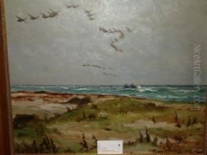 'kustlandskap Med Gass I Flykt'. 44x53 by William Gislander