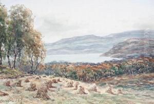 Haystacks; A Loch, A Pair