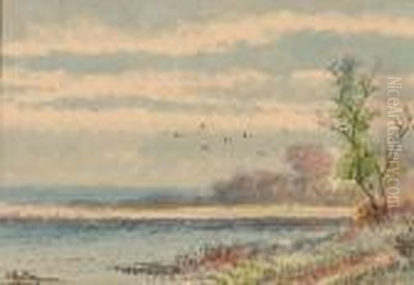 Birds In Flight Over Salt Marshes - view 1