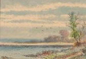 Birds In Flight Over Salt Marshes