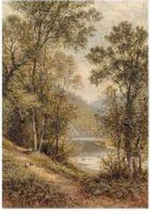 Path On The River Bank
