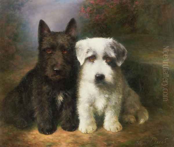 A Scottish and a Sealyham Terrier - view 1
