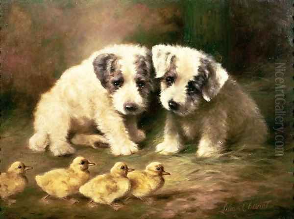 Sealyham Puppies and Ducklings - view 1