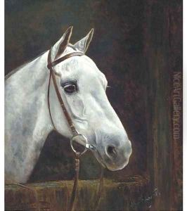 Colonel Heseltine's polo pony
