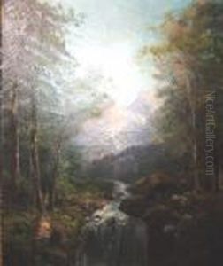 Paysage De Montagne