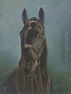 The black stallion by Lilian Cheviot