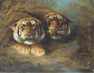 Tigers by Lilian Cheviot