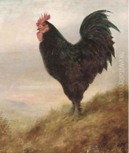 A Broad Langsham fowl by Lilian Cheviot