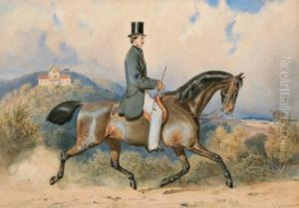 Cavaliere - view 1