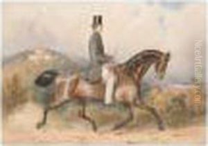 A Gentleman On Horseback