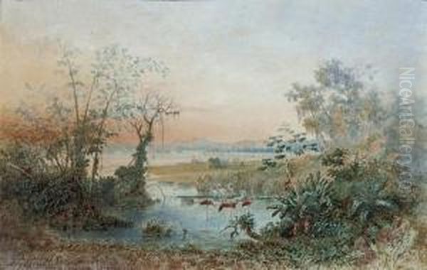 Lake Valencia, Venezuela - view 1