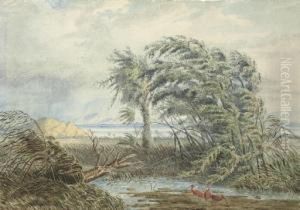 A Venezuelan River Landscape With Scarlet Ibis Sheltering From A Gale In A Backwater