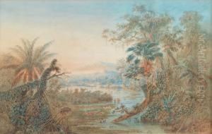 Paysage D'amerique Du Sud