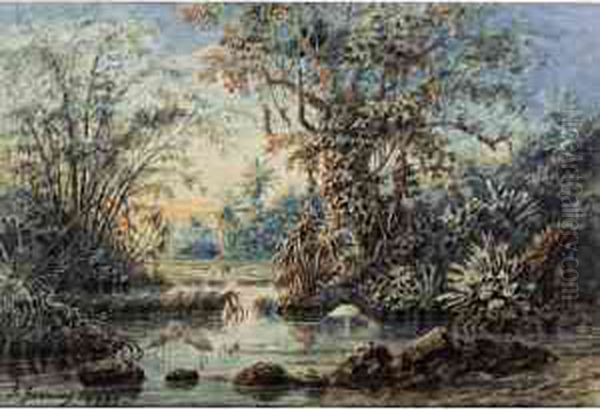 Paisaje De Venezuela - view 1