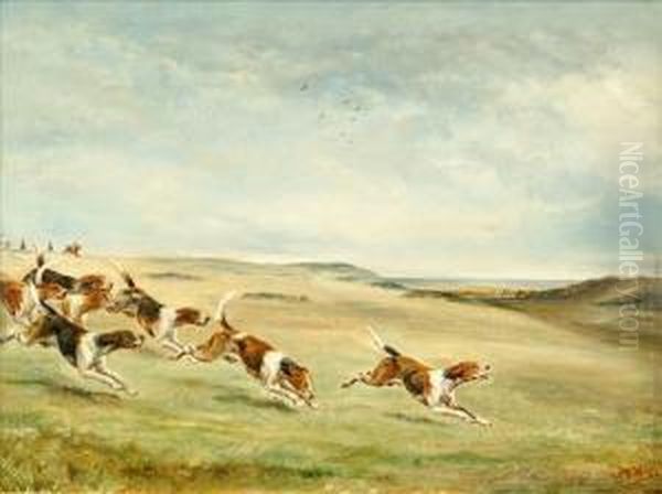 In Chase - view 1